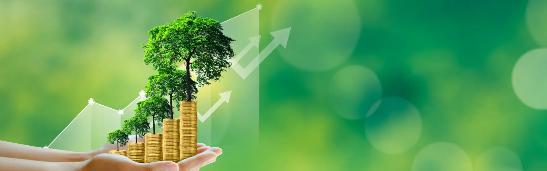 Invest Banner